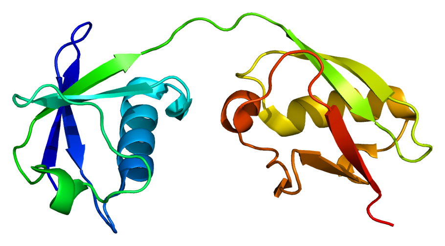 Human IFN-Alpha 4a (Alpha M1) Protein | PBL Assay Science
